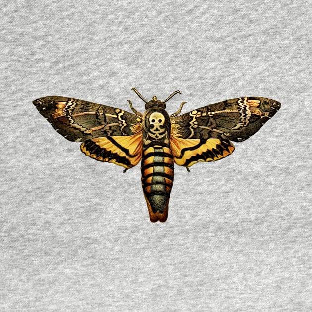 Deaths-Head Hawkmoth by visionarysea